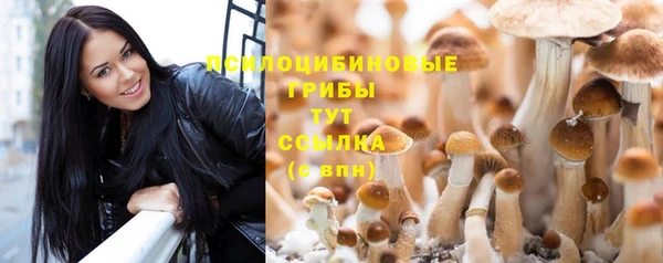 молекула духа Красноперекопск